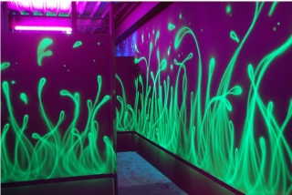  Decoración juego láser Bergerac 